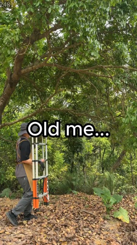 #Brushless Telescopic Pole Electric #Chainsaw High Branch Height Cordless Garden Tree #Pruning Tool