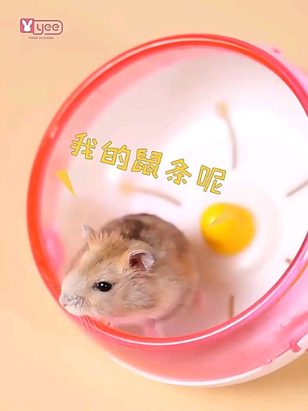 #hamster #stick #pets #pet #nutrition #food