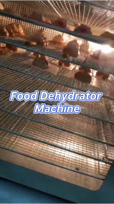 ￼NBZ Food Dehydrator Machine 🤩✨ #dehydrator #fooddehydrator #shopeemy