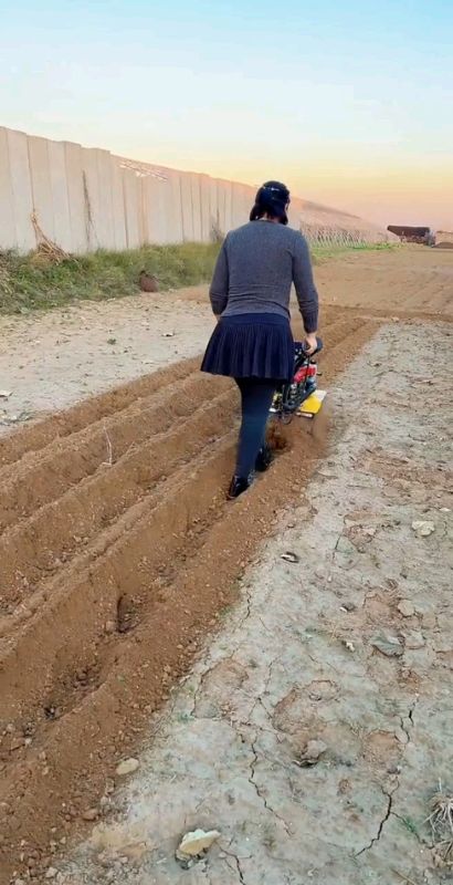 Mini Tiller Cultivator Machine 63CC.#cultivator #minitiller